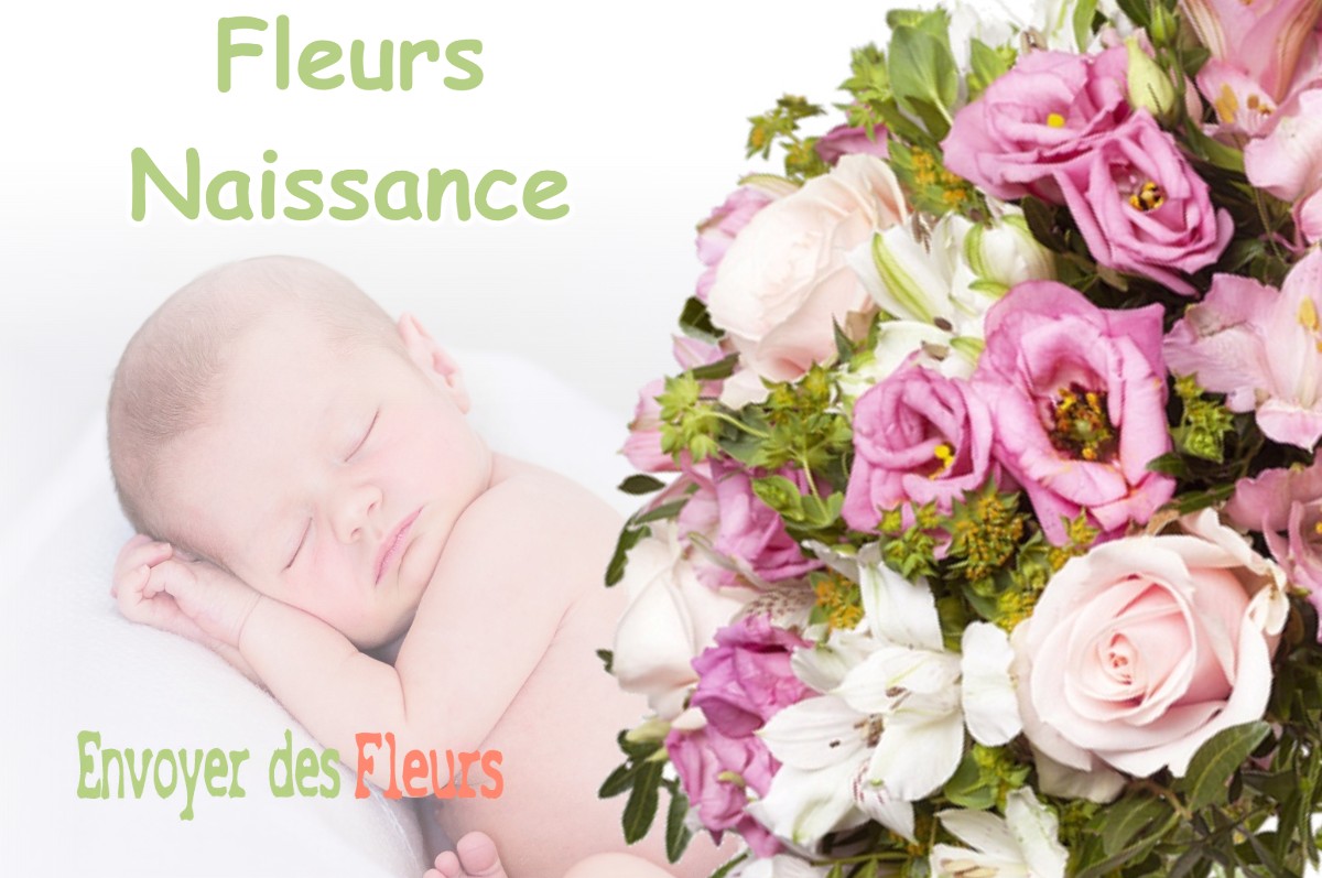 lIVRAISON FLEURS NAISSANCE à SAINT-FERREOL-DE-COMMINGES